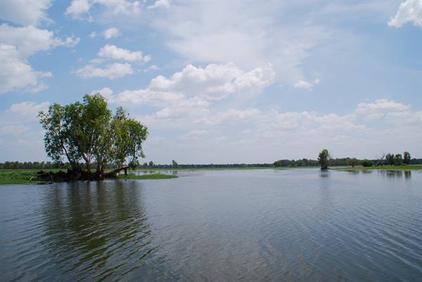 Acque tranquille con alberi sommersi, umido tipico di Katherine