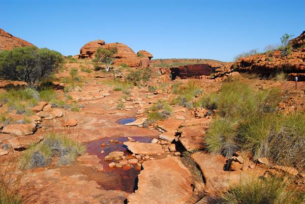 Kings canyon