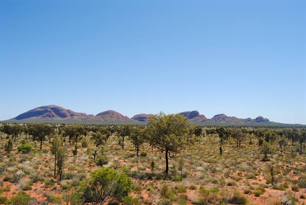 The Olgas
