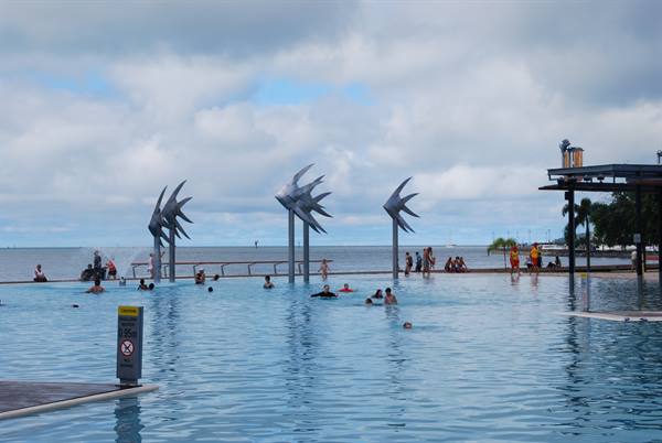 Nuotatori nella laguna di Cairns, sotto le sculture di pesci d'acciaio