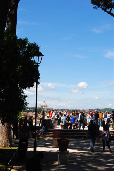 The view of the orange garden