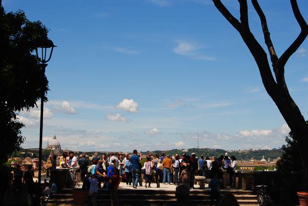 The view of the orange garden
