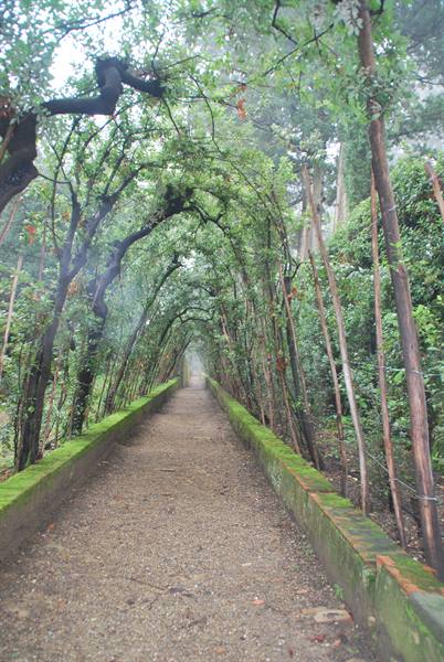 The Boboli Gardens