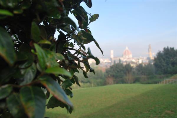 Green leaves in foreground, Florence Cathedral dome blurred in the distance