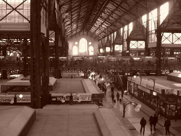 Inside Budapest Nyugati station: iron and glass hall, platforms, shops and travelers