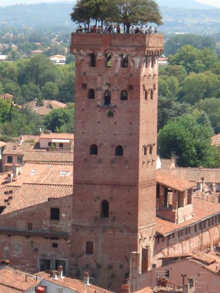 Tourists on the tree-topped Guinigi Tower in Lucca, red brick