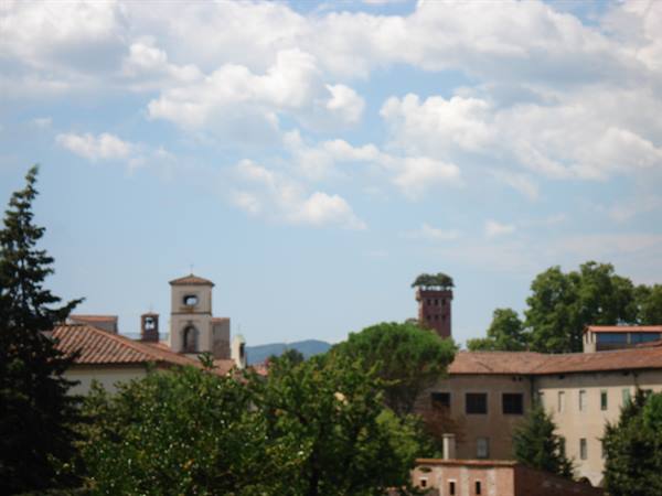 Guinigi Tower with oak trees on top above Lucca rooftops