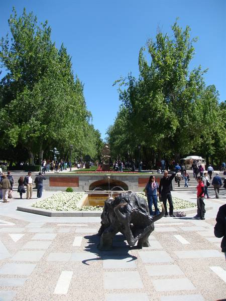 Along the avenues of Parque del Buen Retiro