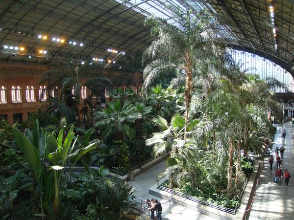 The tropical garden inside the Estacion  de Atocha