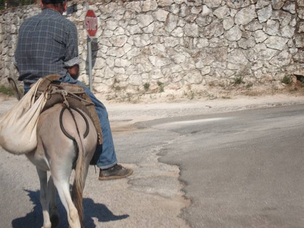 The powerful means of transport
