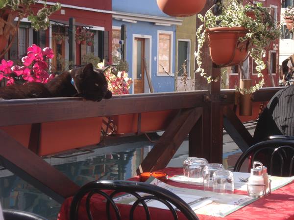 .....set another place at the table