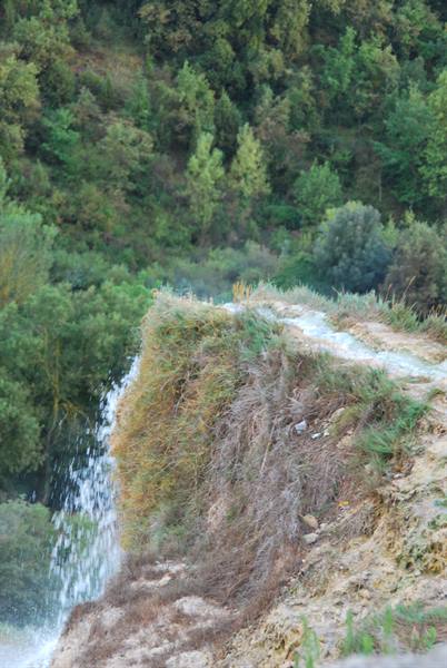 White thermal water cascades over limestone rock among green trees