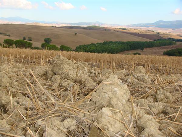 Dry clay clods and cultivated hills near San Quirico d'Orcia