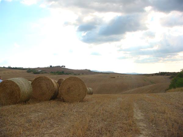 Hay bales in harvested fields of the Val d'Orcia hills