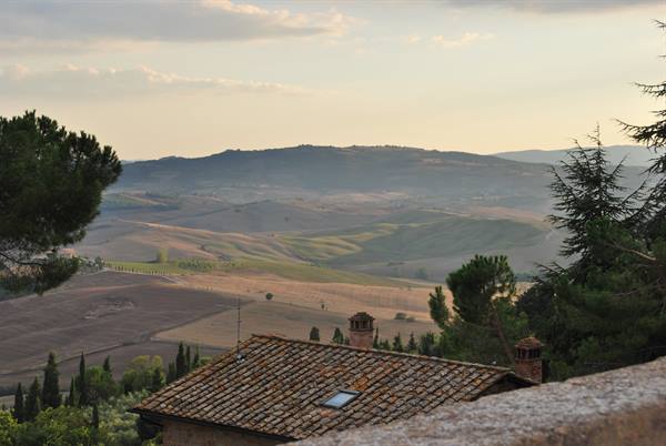 Terracotta rooftops beneath pines and cultivated hills in golden Val d'Orcia light