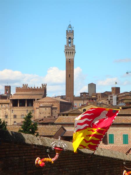 Siena flag waving in front of the Torre del Mangia