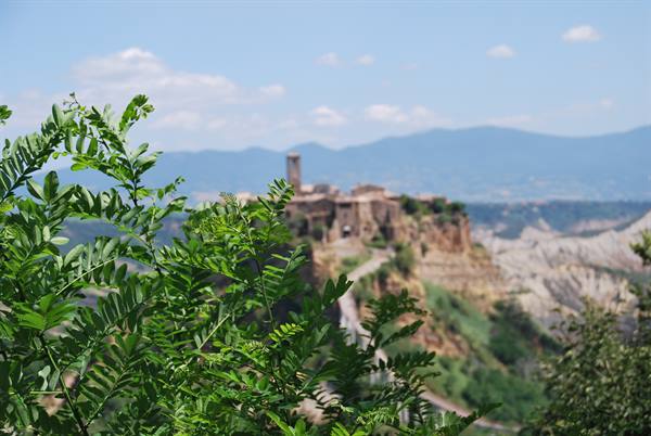 Green branches framing Civita di Bagnoregio, hilltop tufa village