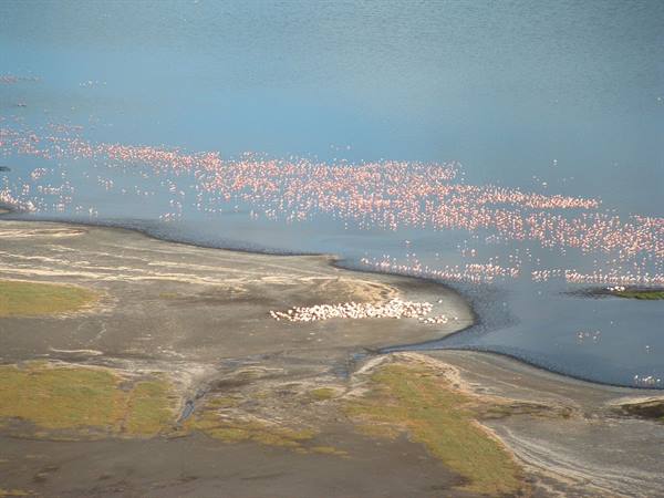 Lake Nakuru