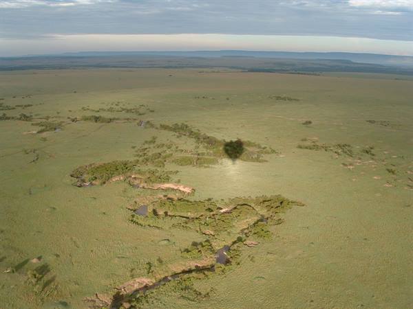 Masai Mara by hot-air balloon