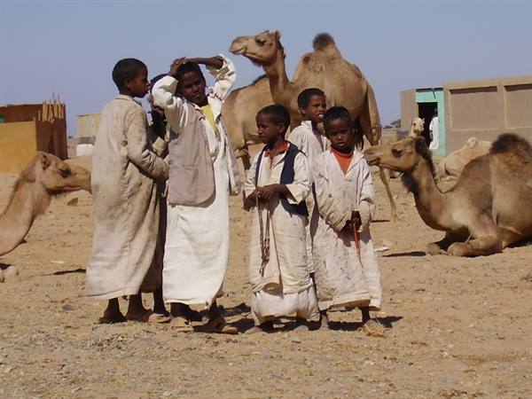 Children in long white robes standing with dromedary camels on sandy desert ground