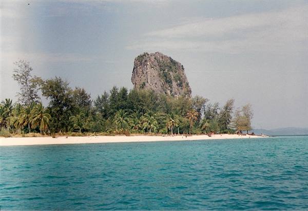 White sand beach with palms and limestone rock, turquoise sea