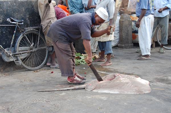 Fisherman with machete cuts a stingray at the fish market, crowd watching