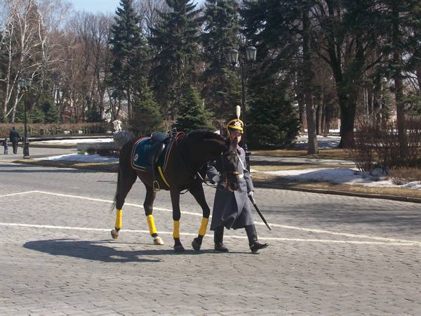 Moscow, soldier and his horse inside the Kremlin