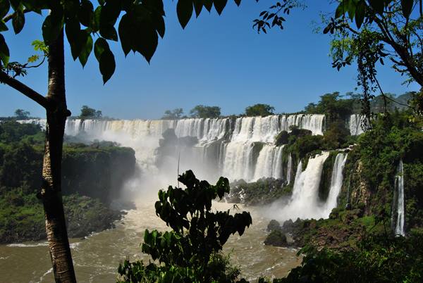 Iguazú Falls cascading amid lush green forest under a blue sky