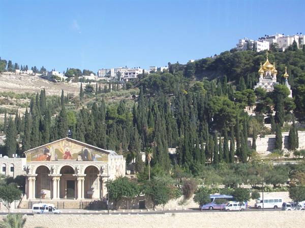 Gethsemane Garden and Mount of Olives