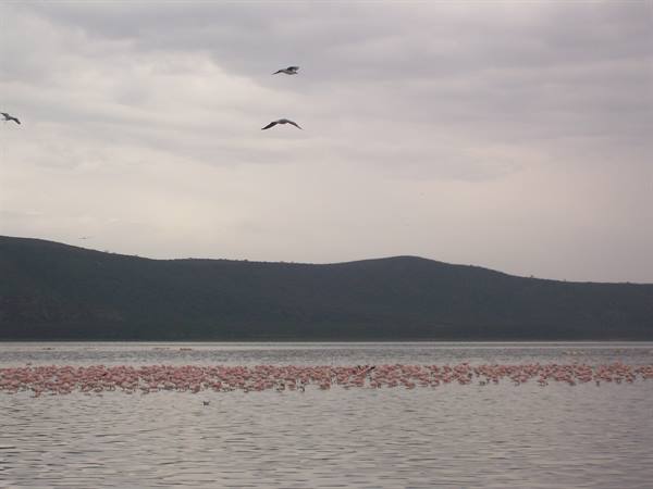 Nakuru