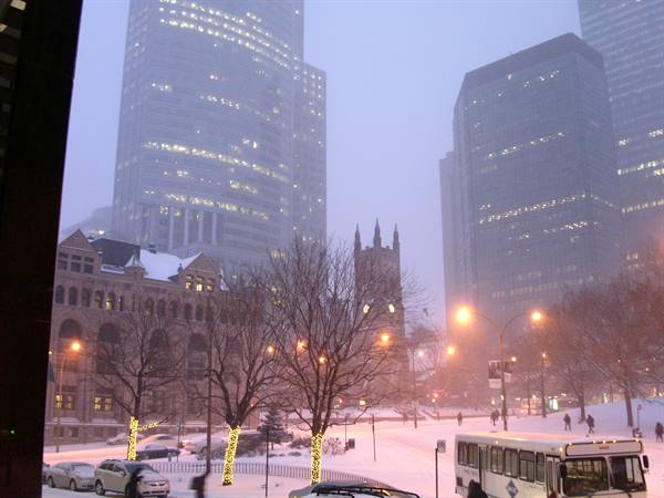 Bus and skyscrapers in the snow, trees wrapped in Christmas lights