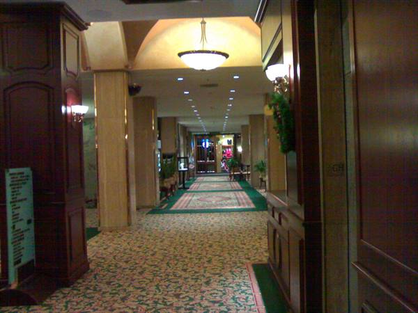 Hotel corridor with floral carpet, wooden paneling and glowing ceiling lamps