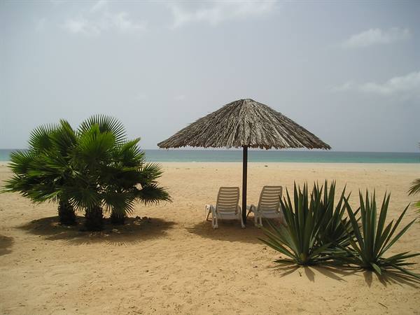 Thatched umbrella with two white loungers on sand, between palm and agave, facing the sea
