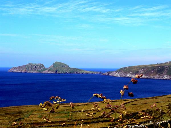 Blasket Islands seen from Dingle Peninsula, golden grass and blue sea