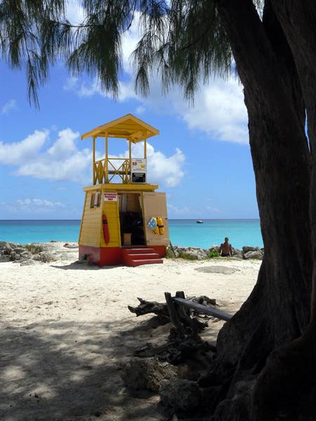 Yellow lifeguard tower on a Caribbean beach under a big tree