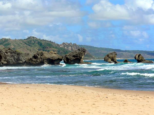 Coral rock formations rise from turquoise waves on Bathsheba's golden sand