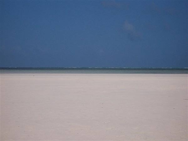 Kenya - Jacaranda low tide