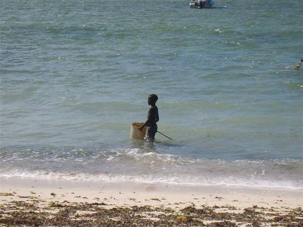 Little fisherman on the Jacaranda beach