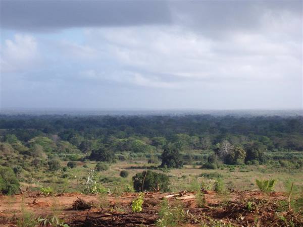 Kenya - towards Tsavo East