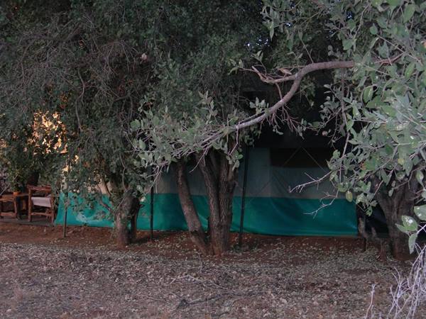 Safari Tsavo East Ndololo Camp
