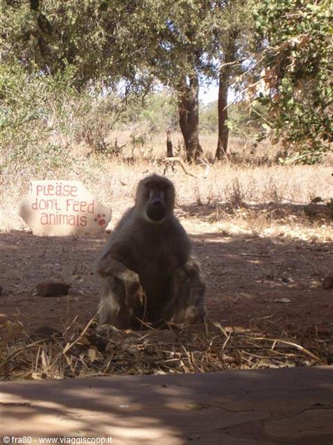 Kenya Ndololo Camp