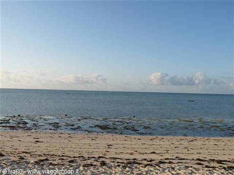 Sand with seaweed on a tropical beach, calm ocean and blue sky