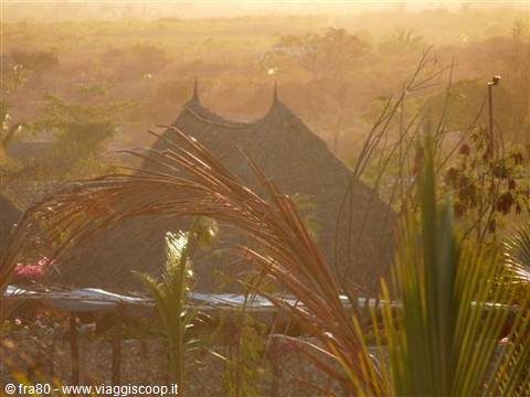Thatched roofs among palm fronds in golden morning haze