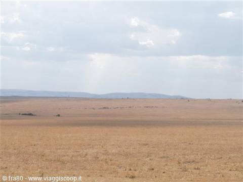 Dry grass savanna under cloudy sky, distant hills, Masai Mara