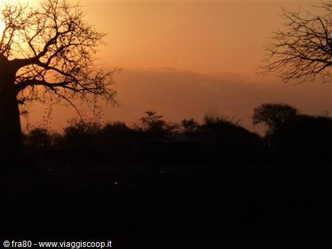 Bare branches silhouetted against a glowing orange sky