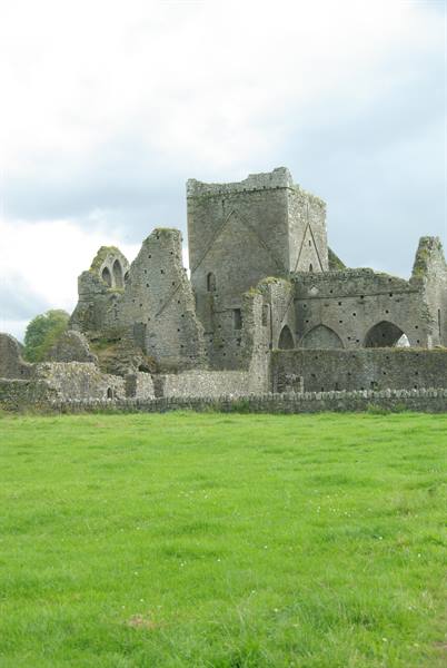 Hore Abbey, stone ruins of the abbey amid the green meadow