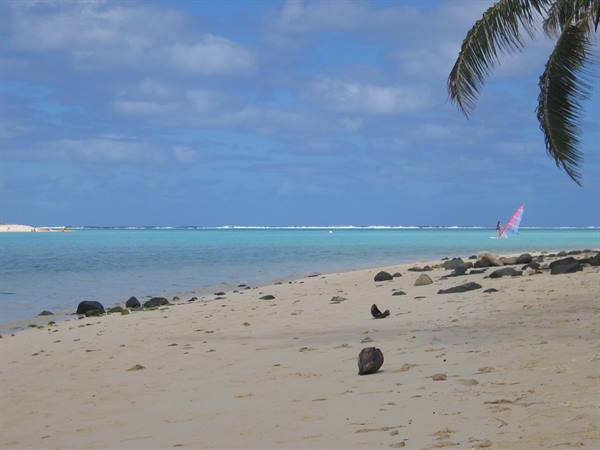 Sandy beach with palm tree and windsurfer on turquoise lagoon