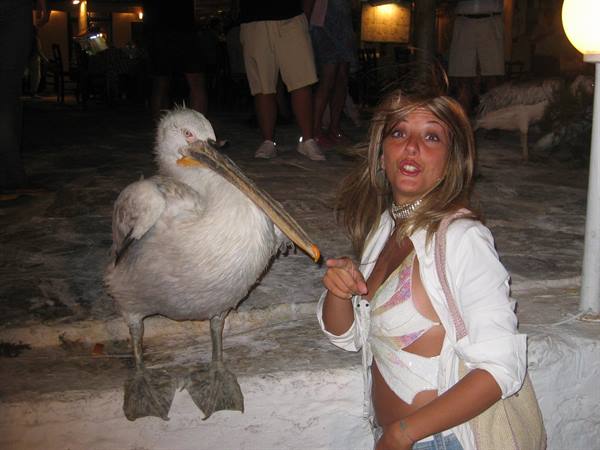 Woman next to a large pelican on stone steps at night