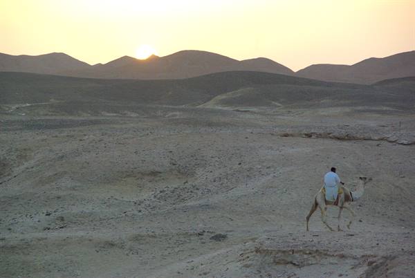 Camel rider in white robe crossing rocky desert hills under low sun