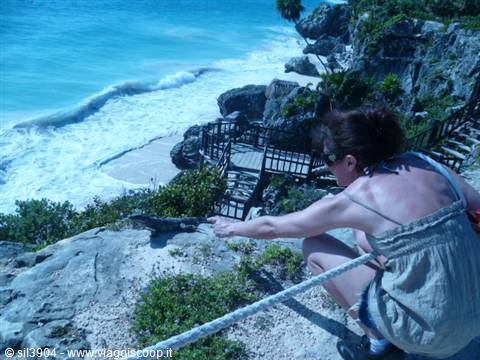 Woman crouching pets an iguana on the cliff near wooden stairs, Tulum